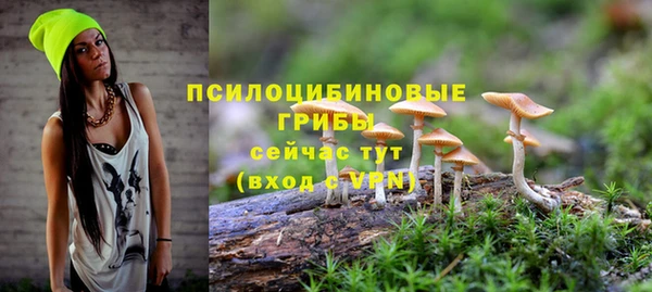 а пвп мука Заводоуковск