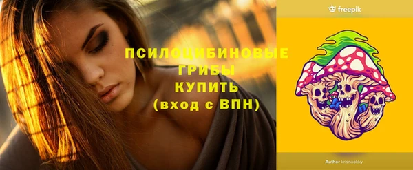а пвп мука Заводоуковск