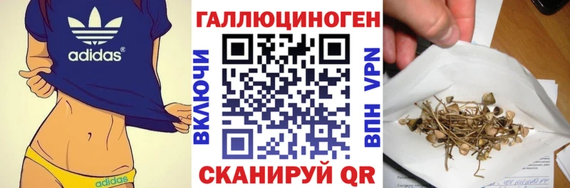 Галлюциногенные грибы Psilocybe  Купить  Среднеуральск 